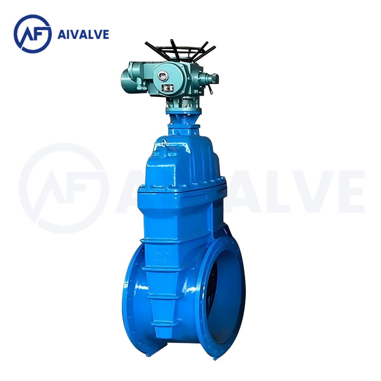 BS5163 电动软密封闸阀