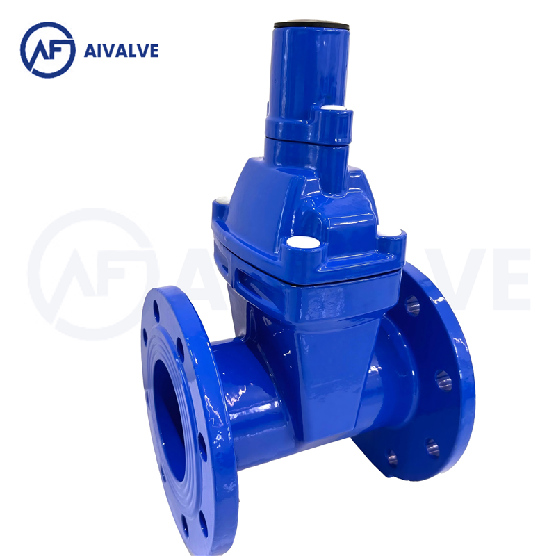 BS5163  软密封锁闭阀