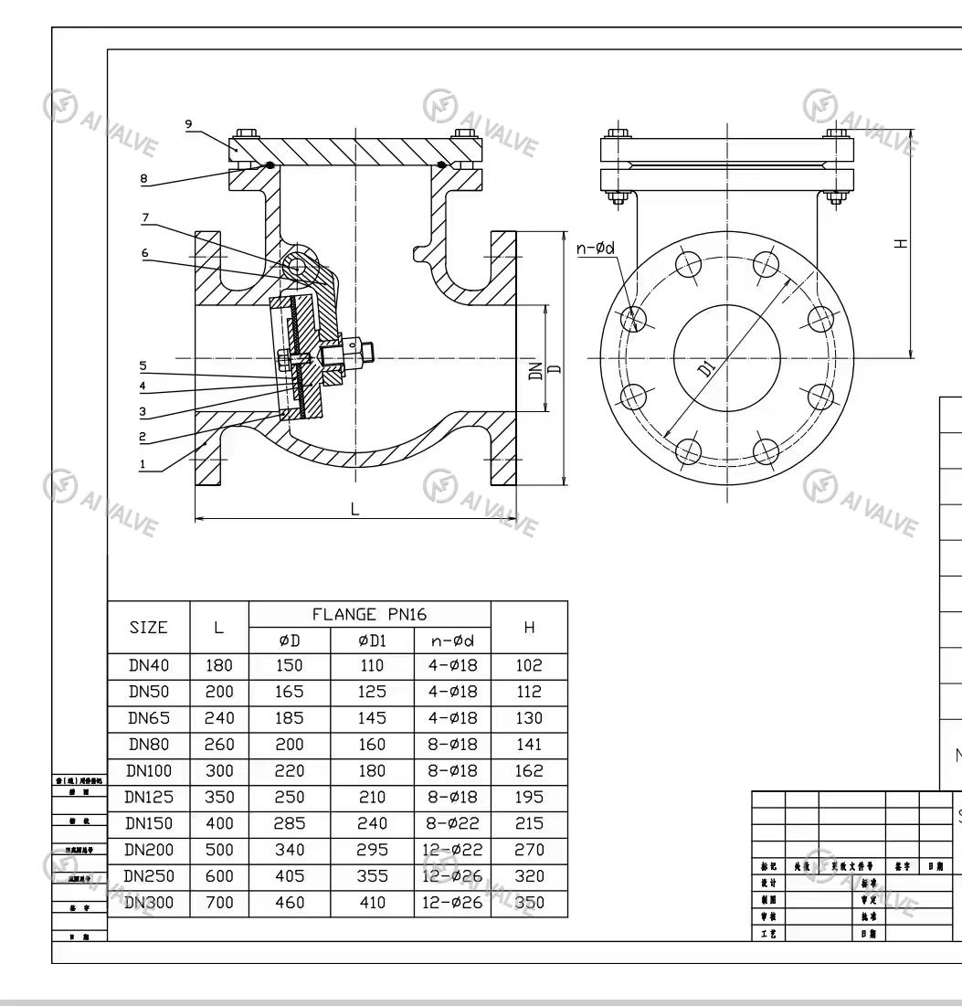 Hard Sealed Check Valve