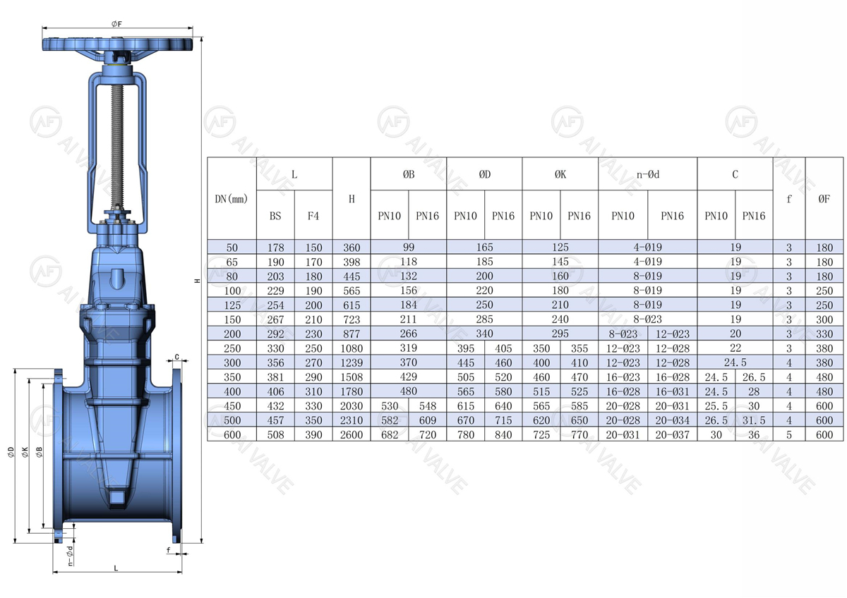BS5163 Rising Stem Resilient Seated Gate Valve